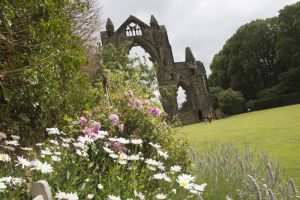 Guisborough - Mark Davis Photography